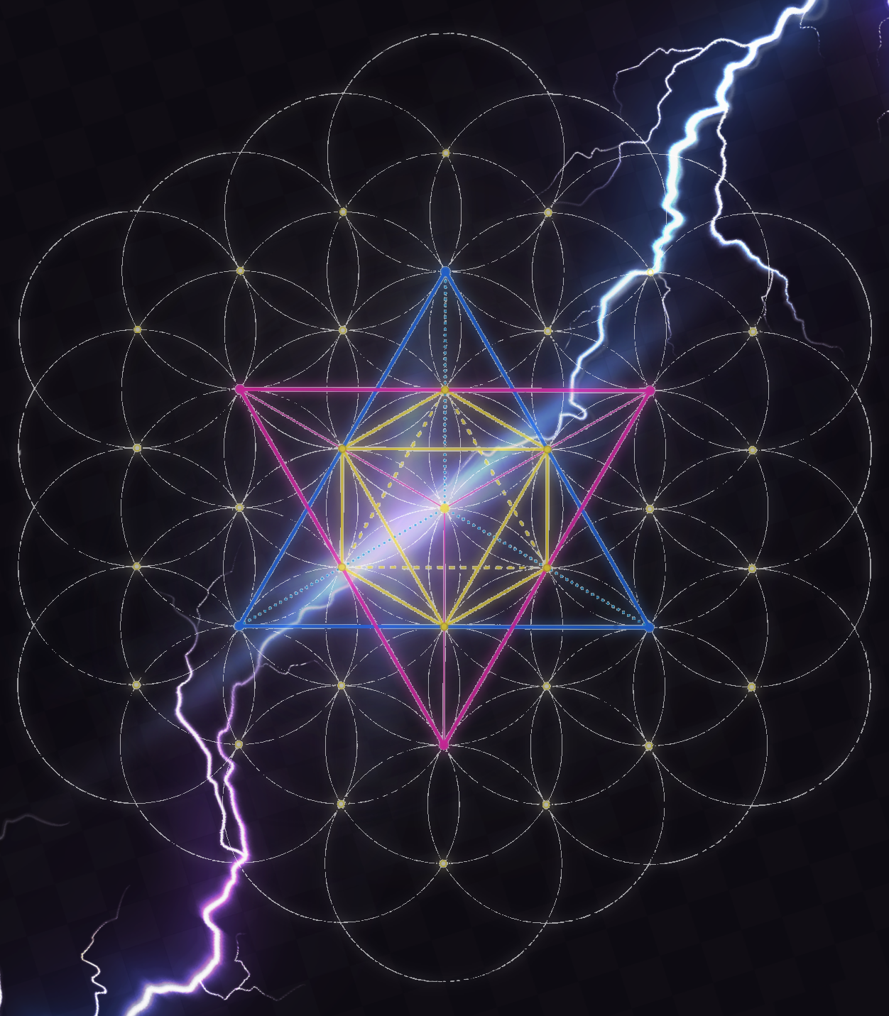 Transform Your Universe logo